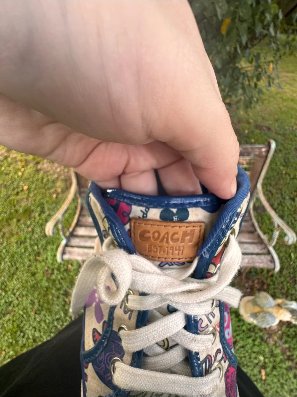 Coach low top